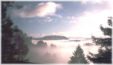 PICTURE OF A VALLEY IN FOG
